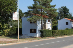 Apartments by the sea Dajla, Novigrad - 3376